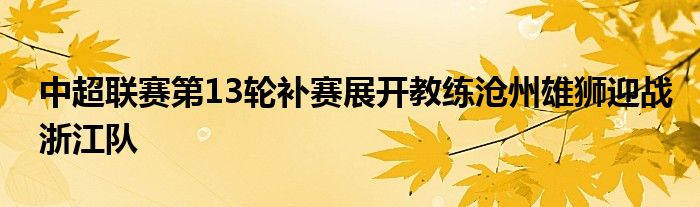 中超联赛第13轮补赛展开教练沧州雄狮迎战浙江队