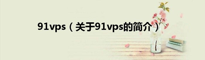 91vps（关于91vps的简介）