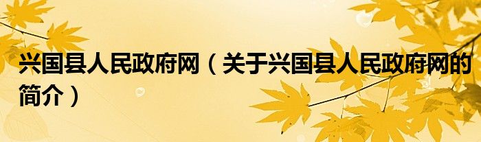 兴国县人民政府网（关于兴国县人民政府网的简介）