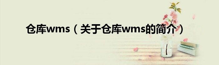 仓库wms（关于仓库wms的简介）