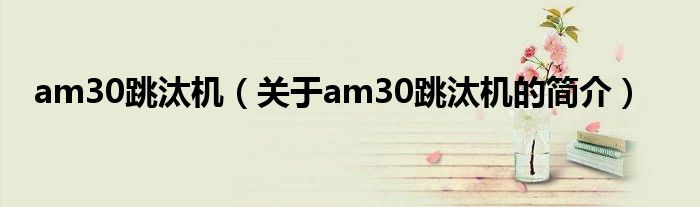 am30跳汰机（关于am30跳汰机的简介）