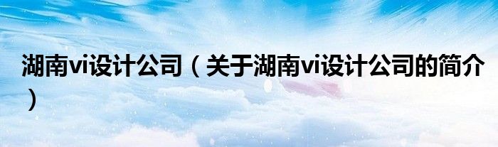 湖南vi设计公司（关于湖南vi设计公司的简介）