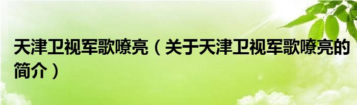 天津卫视军歌嘹亮（关于天津卫视军歌嘹亮的简介）