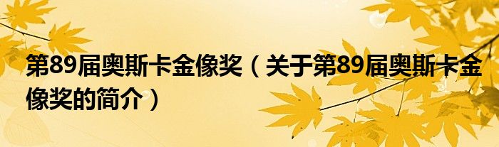 第89届奥斯卡金像奖（关于第89届奥斯卡金像奖的简介）