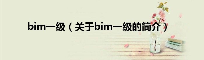 bim一级（关于bim一级的简介）