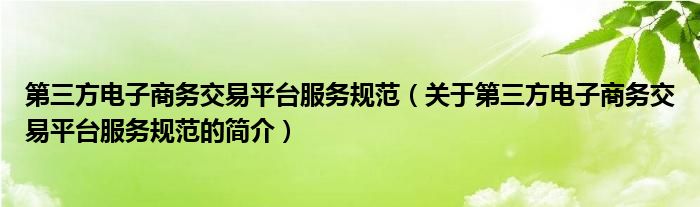 第三方电子商务交易平台服务规范（关于第三方电子商务交易平台服务规范的简介）