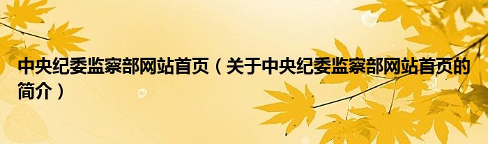 中央纪委监察部网站首页（关于中央纪委监察部网站首页的简介）