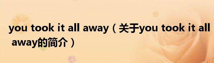 you took it all away（关于you took it all away的简介）