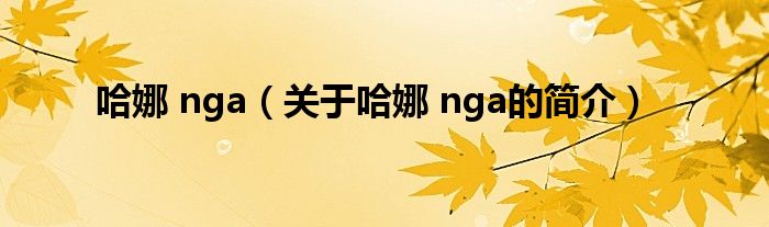 哈娜 nga（关于哈娜 nga的简介）