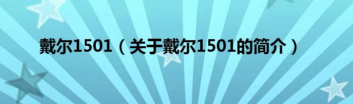 戴尔1501（关于戴尔1501的简介）