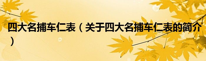 四大名捕车仁表（关于四大名捕车仁表的简介）