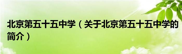 北京第五十五中学（关于北京第五十五中学的简介）