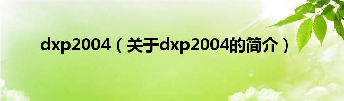 dxp2004（关于dxp2004的简介）