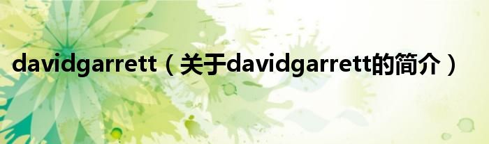 davidgarrett（关于davidgarrett的简介）