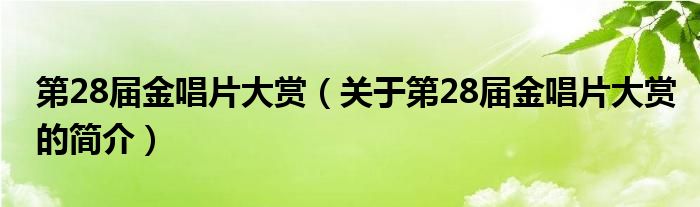 第28届金唱片大赏（关于第28届金唱片大赏的简介）