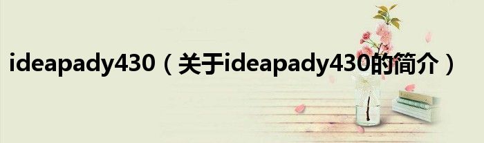 ideapady430（关于ideapady430的简介）