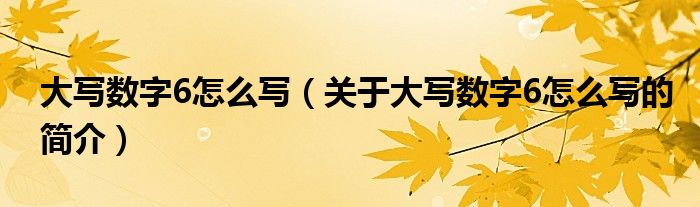 大写数字6怎么写（关于大写数字6怎么写的简介）