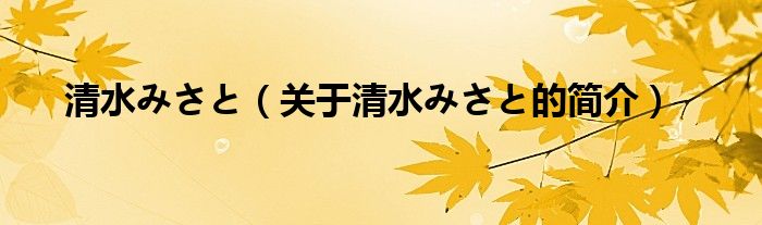 清水みさと（关于清水みさと的简介）