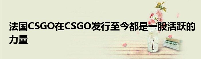 法国CSGO在CSGO发行至今都是一股活跃的力量