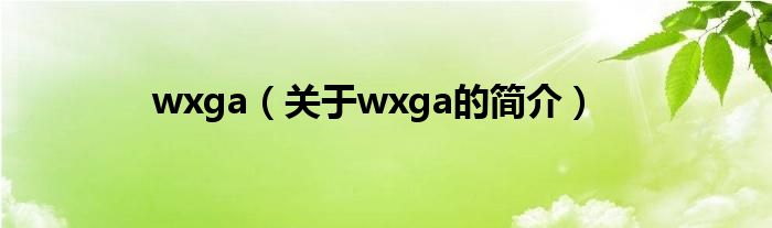wxga（关于wxga的简介）