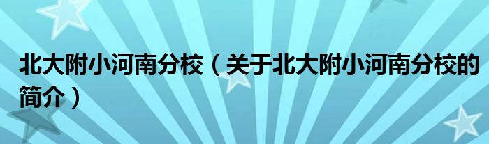 北大附小河南分校（关于北大附小河南分校的简介）