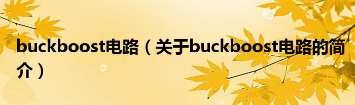 buckboost电路（关于buckboost电路的简介）