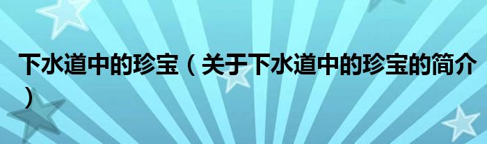 下水道中的珍宝（关于下水道中的珍宝的简介）