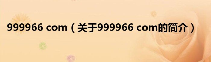 999966 com（关于999966 com的简介）