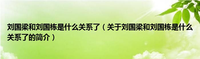 刘国梁和刘国栋是什么关系了（关于刘国梁和刘国栋是什么关系了的简介）