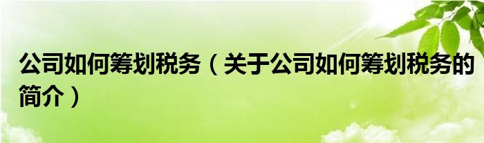 公司如何筹划税务（关于公司如何筹划税务的简介）