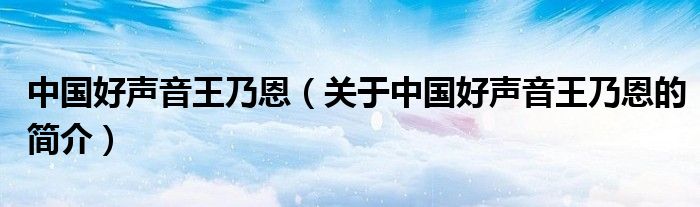 中国好声音王乃恩（关于中国好声音王乃恩的简介）