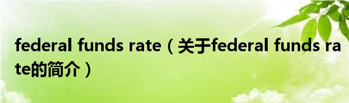 federal funds rate（关于federal funds rate的简介）