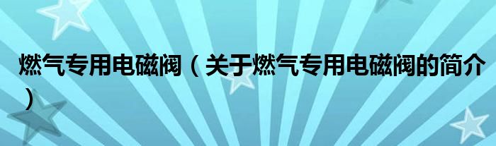 燃气专用电磁阀（关于燃气专用电磁阀的简介）