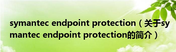 symantec endpoint protection（关于symantec endpoint protection的简介）