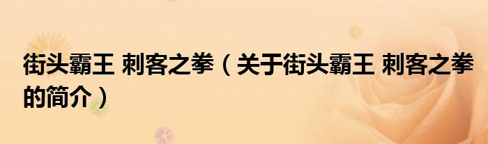 街头霸王 刺客之拳（关于街头霸王 刺客之拳的简介）