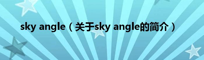 sky angle（关于sky angle的简介）