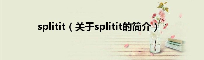 splitit（关于splitit的简介）