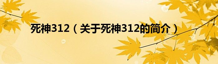 死神312（关于死神312的简介）