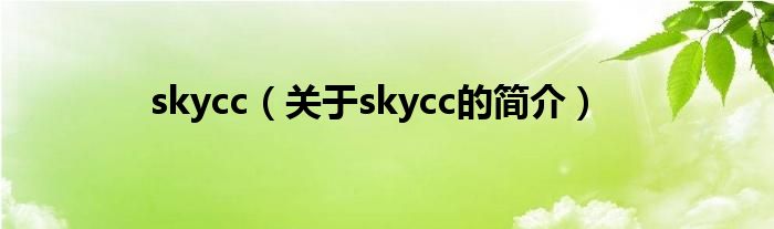 skycc（关于skycc的简介）