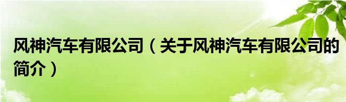 风神汽车有限公司（关于风神汽车有限公司的简介）