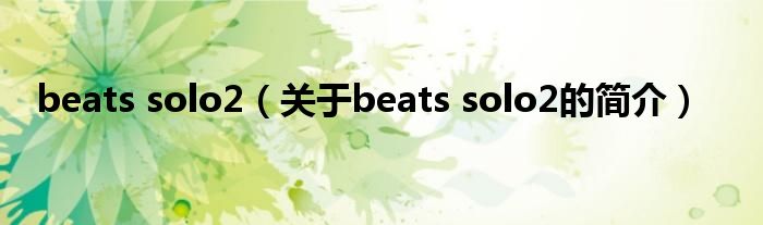 beats solo2（关于beats solo2的简介）