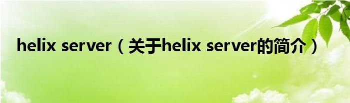 helix server（关于helix server的简介）