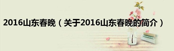 2016山东春晚（关于2016山东春晚的简介）