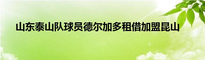 山东泰山队球员德尔加多租借加盟昆山