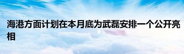 海港方面计划在本月底为武磊安排一个公开亮相