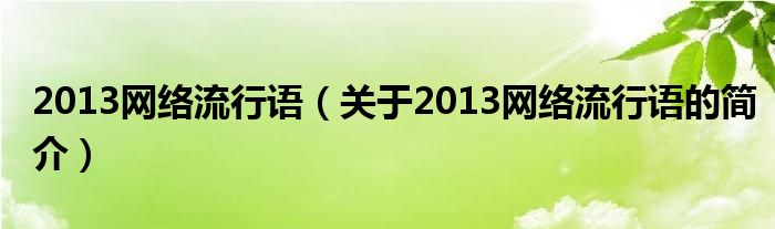 2013网络流行语（关于2013网络流行语的简介）