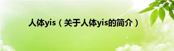 人体yis（关于人体yis的简介）