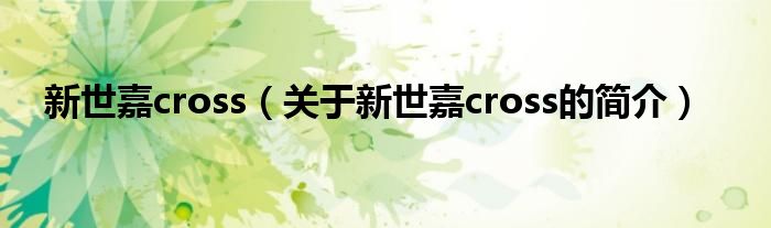 新世嘉cross（关于新世嘉cross的简介）