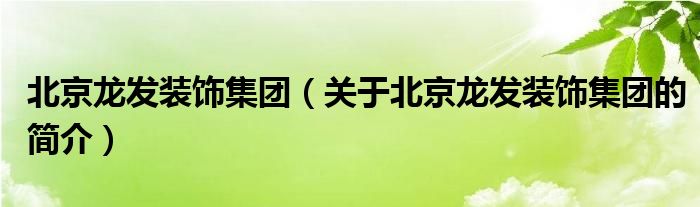 北京龙发装饰集团（关于北京龙发装饰集团的简介）