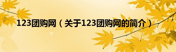 123团购网（关于123团购网的简介）